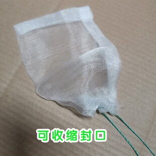 草莓防虫网防鸟袋果实蓝莓番茄可收缩防虫袋透光草莓套袋网保护袋
