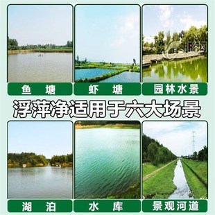 浮萍一扫光清除剂鱼塘鱼缸水产养殖不伤鱼虾除藻剂水葫芦清理神器
