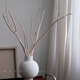侘寂风白色干燥花树枝枯枝花艺高级感耶诞桌面摆件家居装 饰客厅摆