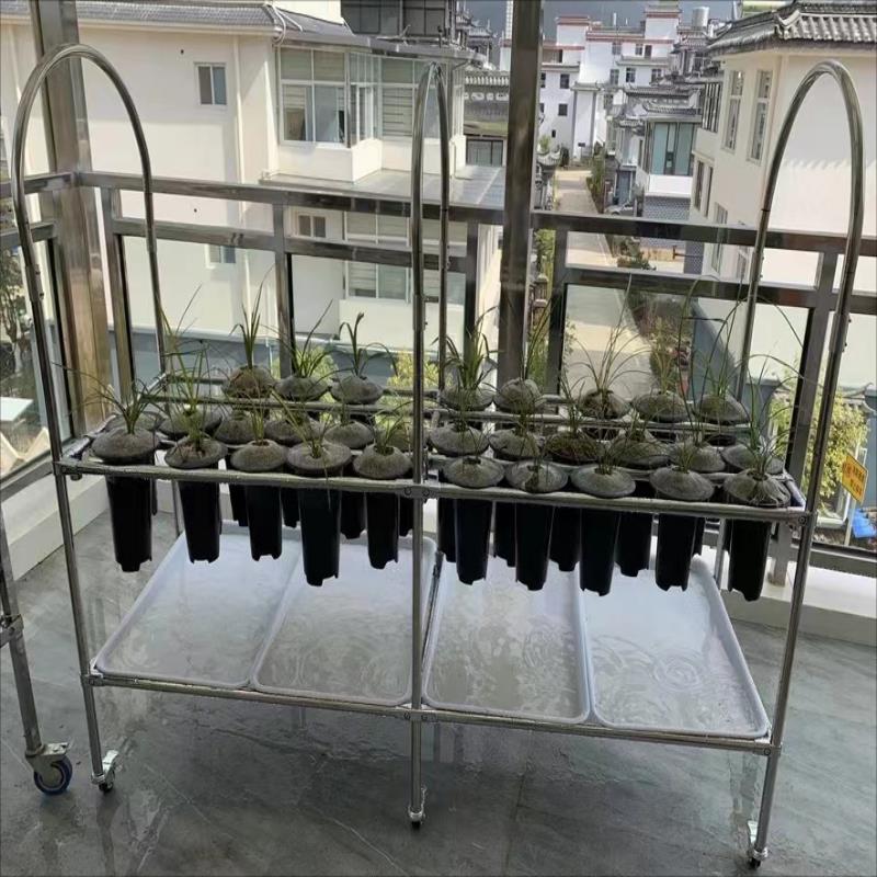 特厚304不锈钢兰花架兰花棚兰架可定制可移动兰花棚架可定做