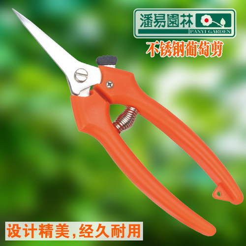 潘易园艺整枝修枝剪工具剪刀葡萄果树摘果树修枝剪花木小剪园林