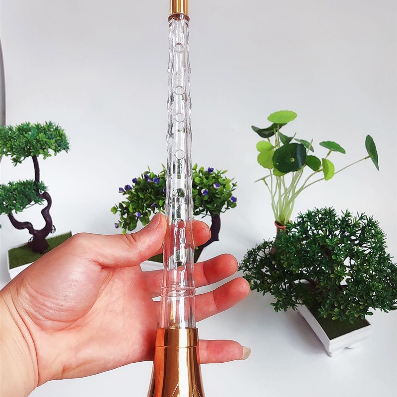 水晶唢呐演奏级舞台唢呐塑料亚克力有机玻璃透明彩色王伟管乐包邮