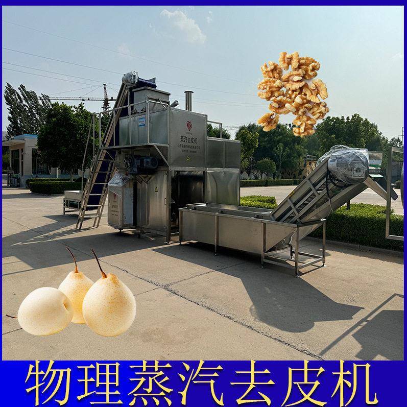 西红柿番茄酱加工蒸汽去皮机 葡萄头去皮设备 红薯紫薯削皮