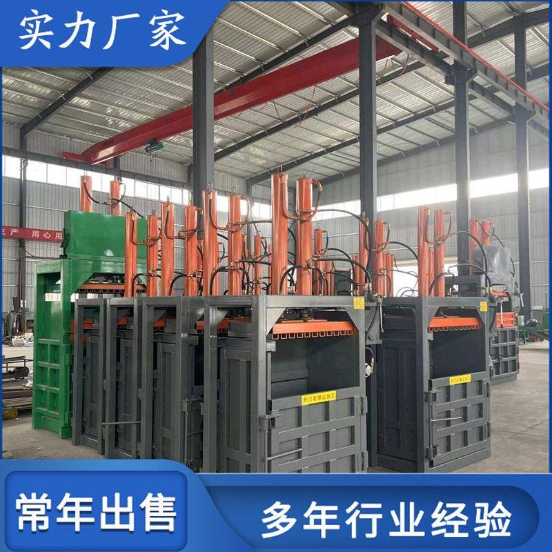 全自动荷叶花草压块成型打包机 小型立式十吨缸液压压块机