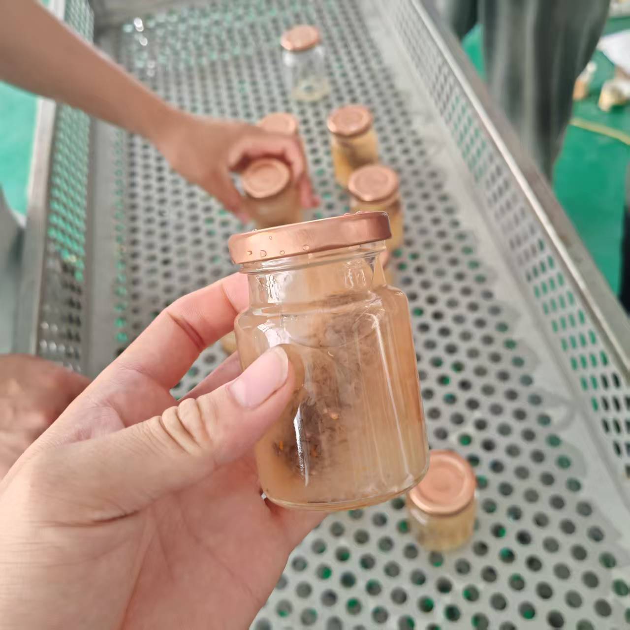 桦树汁杀菌设备鲜炖玻璃瓶海参喷淋杀菌釜即食燕窝粥喷淋杀菌锅