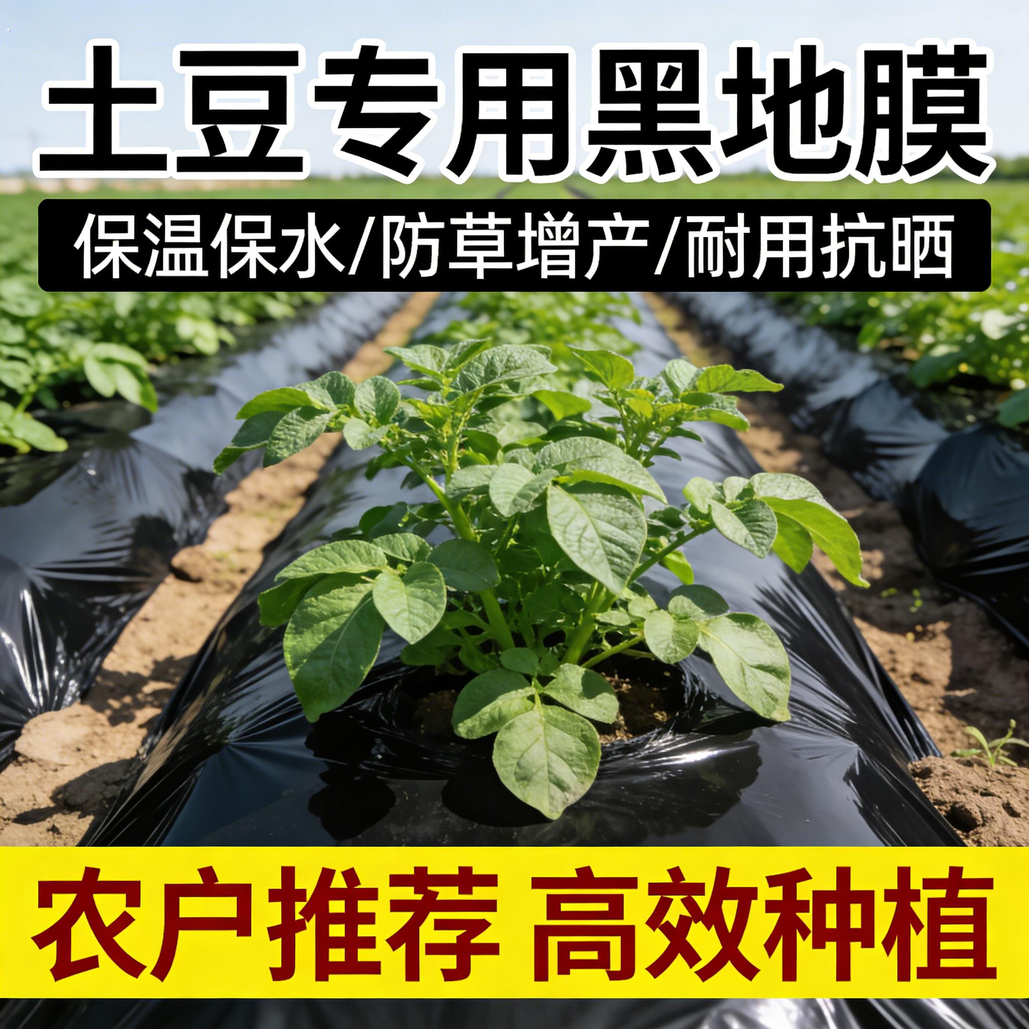 土豆专用黑色地膜一次性黑膜盖菜防草布加厚塑料薄膜农用种植土豆