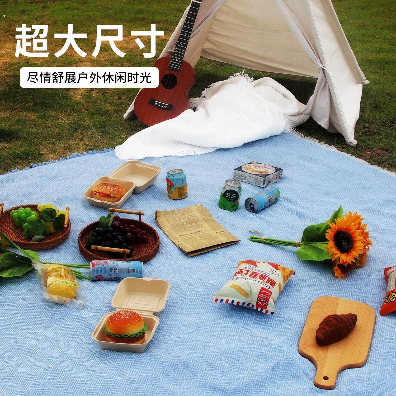 户外露营野餐垫可携式沙滩垫防水防潮防沙野餐布加厚拍照道具风