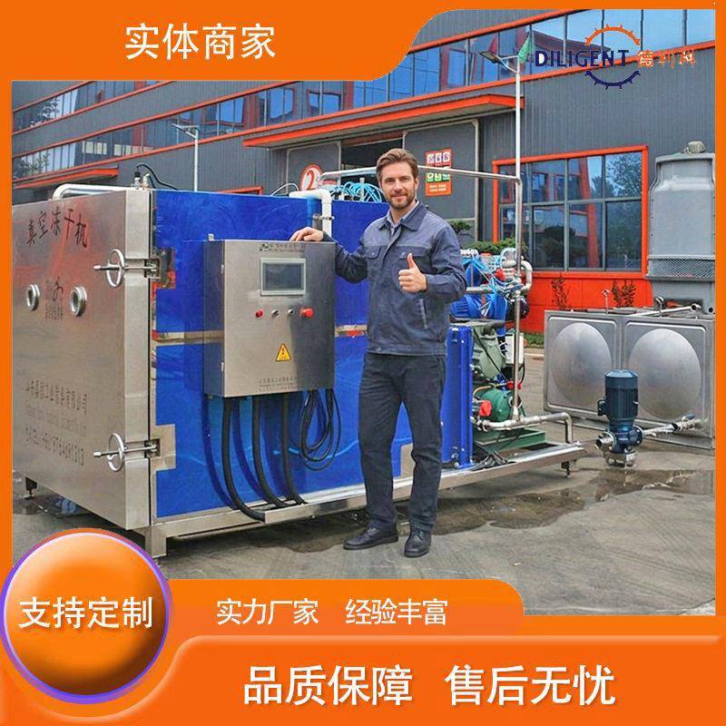 草莓柠檬玫瑰花黄桃冻干机真空冷冻干燥设备海鲜肉制品真空冻干机