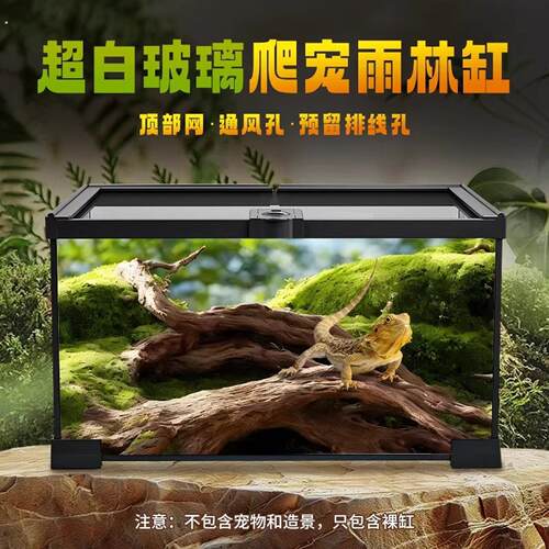 爬宠宠物饲养缸 玻璃雨林造景箱 守宫乌龟蜘蛛专用观赏缸爬虫饲养