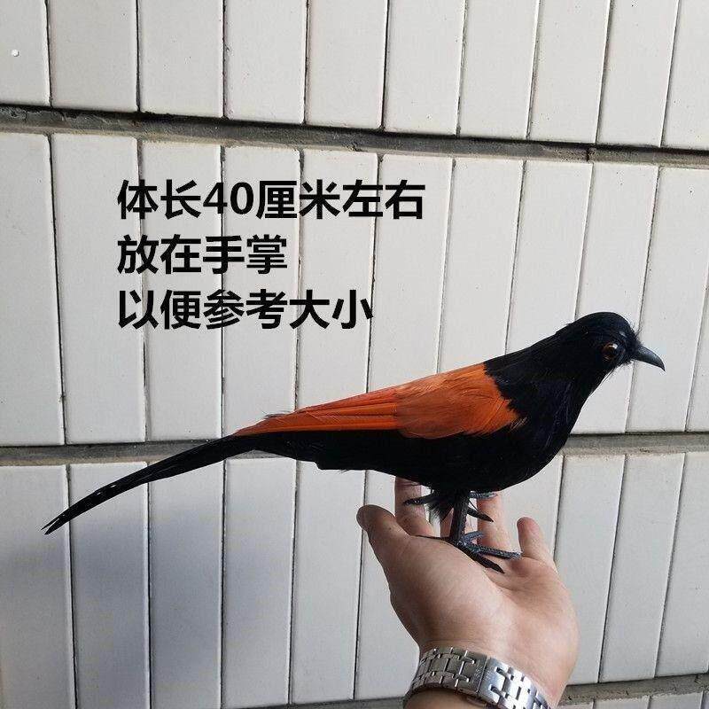 红毛鸡标本彷真模型假媒园林装饰工艺礼品摆饰摄影道具教学演示景