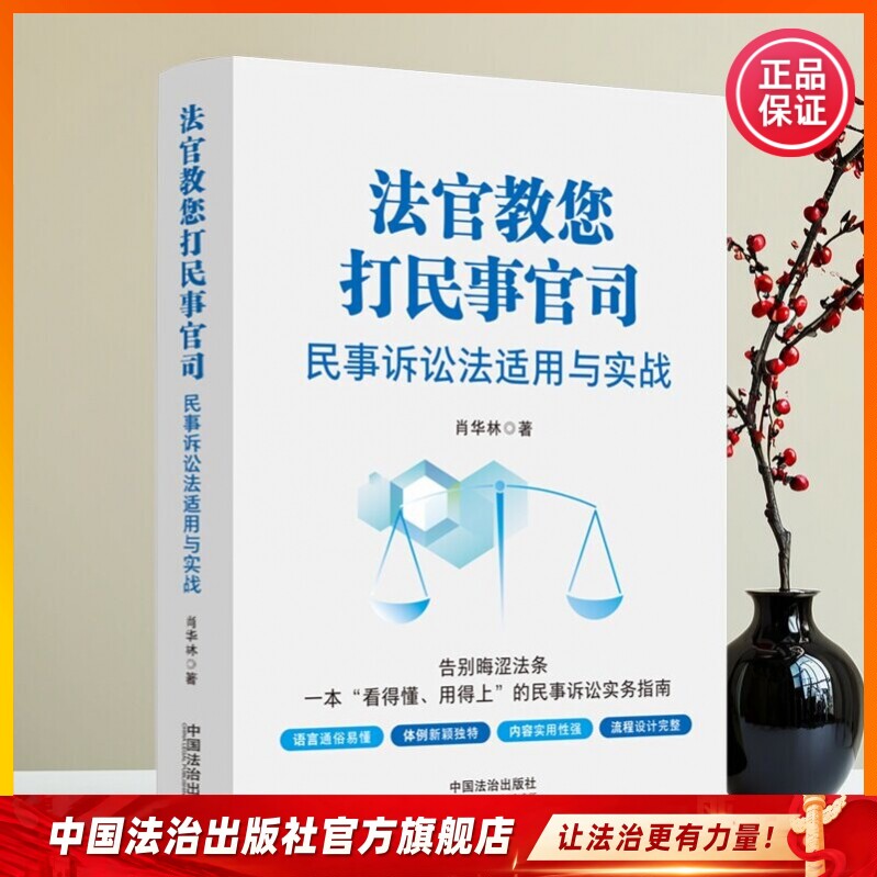 法官教您打民事官司：民事诉讼法适用与实战 肖华林著 告别晦涩法条 一本“看得懂、用得上”的民事诉讼实务指南 - 实物图