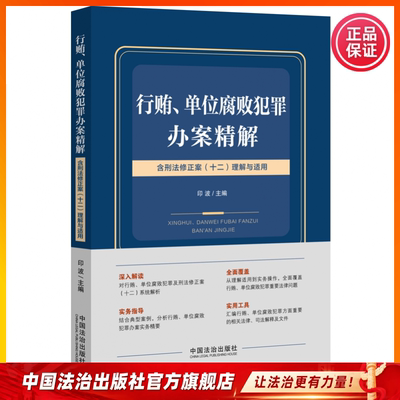 行贿、单位腐败犯罪办案精解：含刑法修正案(十二)理解与适用9787521642612 印波