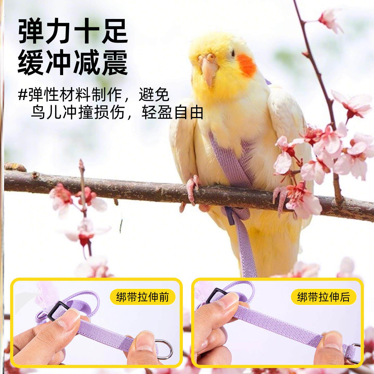 鹦鹉牵鸟绳引绳外出放飞绳户外遛神器玄凤牡丹超轻不伤脚抱婴袋小