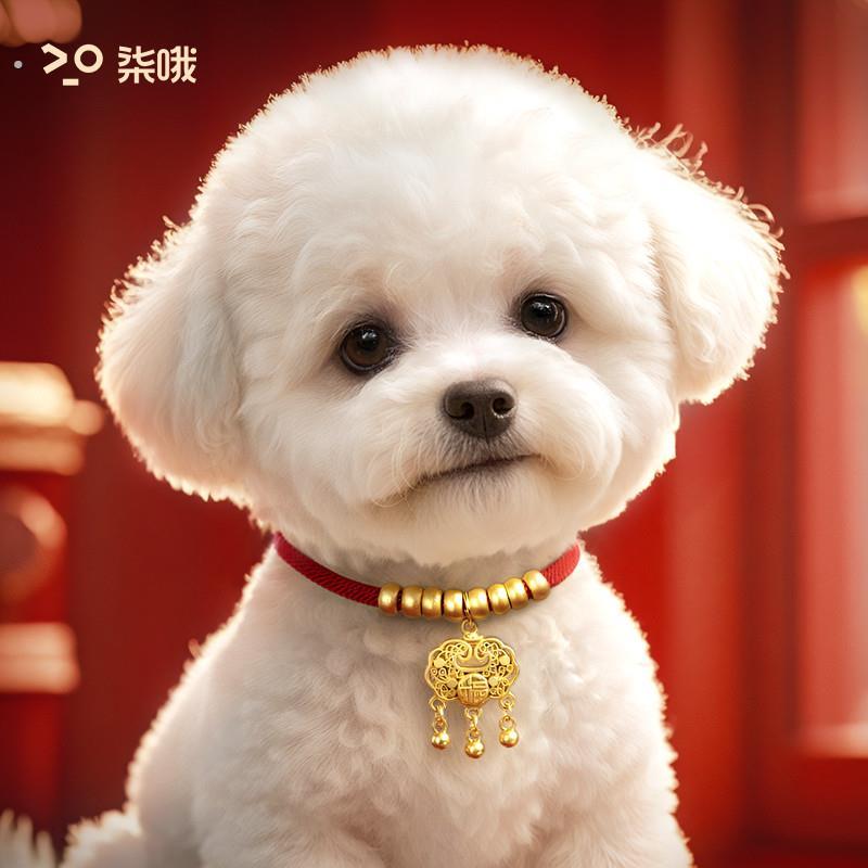 狗狗项圈新年狗脖圈长命锁小狗项链中小型犬脖套猫项圈宠物小配饰