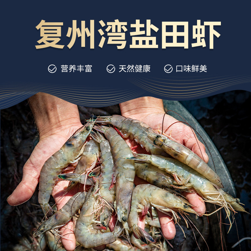 大连复州湾盐田虾3斤盐场直发渤海湾水产鲜活速冻鲜对虾40-45规格