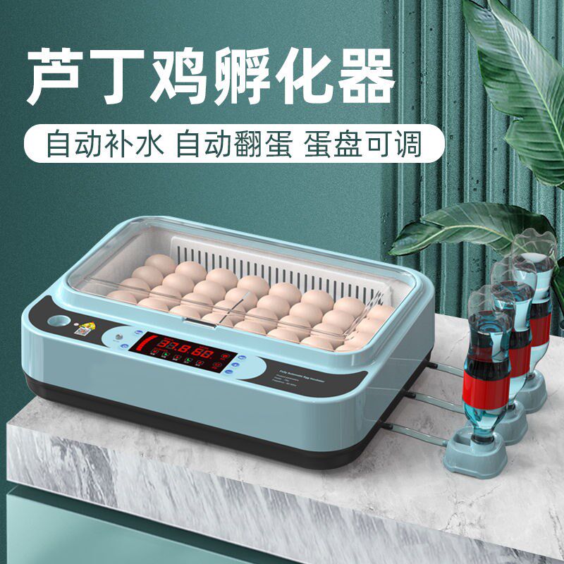 孵化器小型家用孵化机全自动智能孵化箱小鸡鸭鹅鸽鹦鹉种蛋孵蛋器