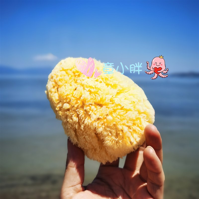 章小胖希腊地中海爱琴海纯天然蜂窝海绵婴儿洗脸洁面卸妆洗澡清洁