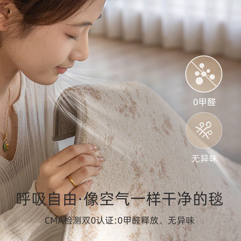 2025新款防水无胶地毯 0胶水无甲醛免洗可擦轻奢高级感客厅卧室垫