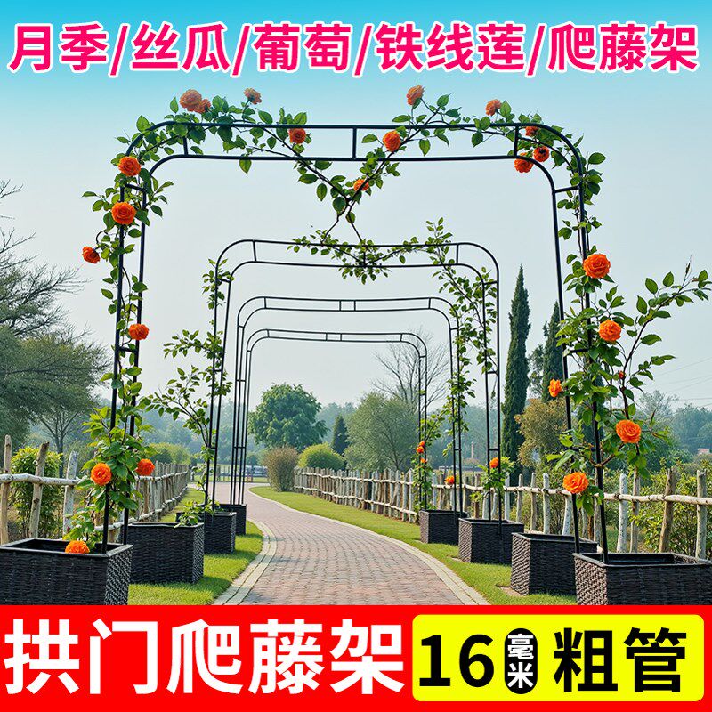 拱门花架爬藤架月季蔷薇攀爬铁艺支架葡萄架支撑杆子楼顶种菜架子