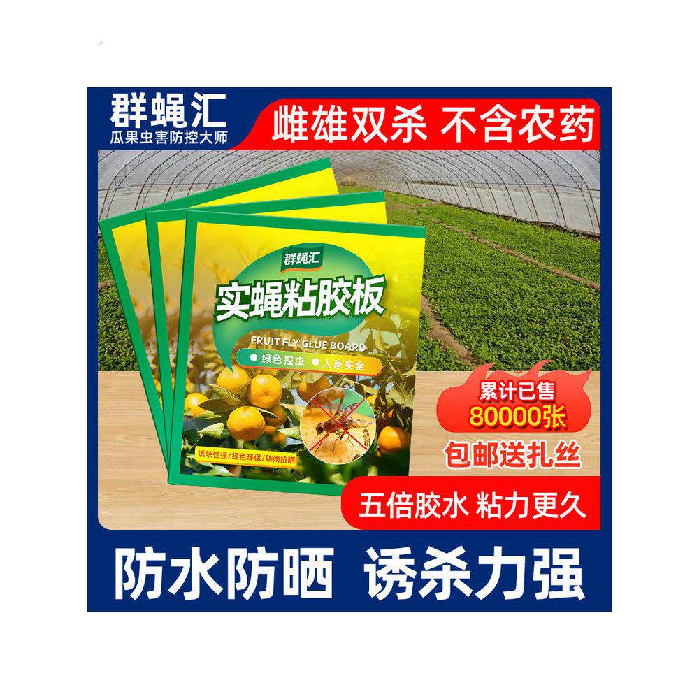 瓜果实蝇粘胶板黄板双面粘虫板诱虫板针蜂贴果蝇诱捕器引诱剂粘板