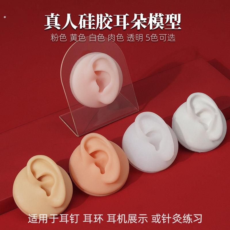 矽胶耳朵模型彷真人耳耳针耳环展示饰品展示支架穿刺穿孔纹身练习