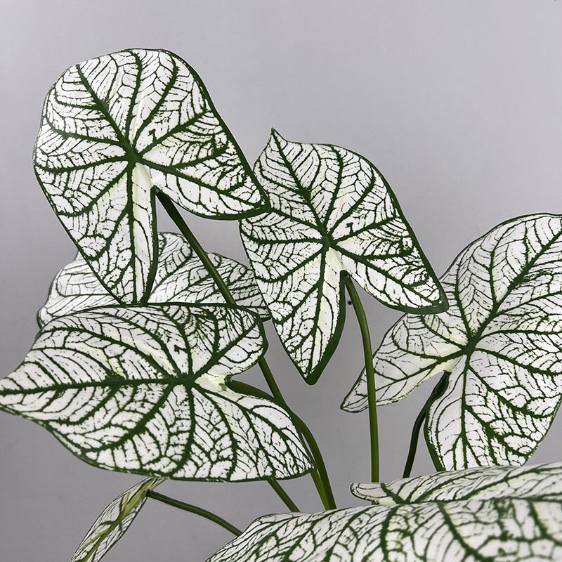 七头芋头叶束,模拟马蹄莲彩色芋头叶插花,花窗绿色植物,模拟植物