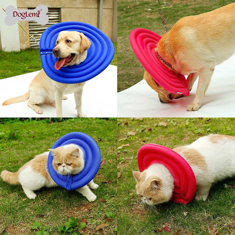 伊丽莎白圈狗猫项圈宠物防咬圈金毛法斗贵宾脖套大型犬头套猫圈