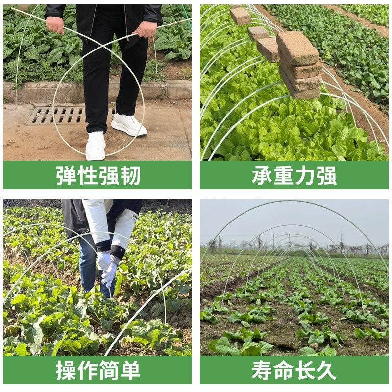 小拱棚支架蔬菜农用秋冬菜地温室花棚大棚骨架玻璃纤维支撑杆实心