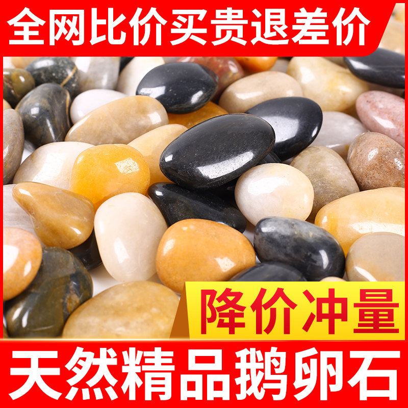 彩色鹅卵石铺地雨花石天然石头颗粒软暖石子精抛五彩白色精品