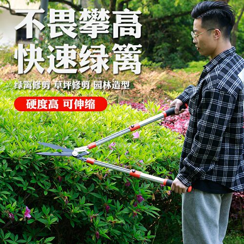 花剪园艺剪刀绿化家用修枝剪树枝果树造型剪草坪剪伸缩绿篱园林剪