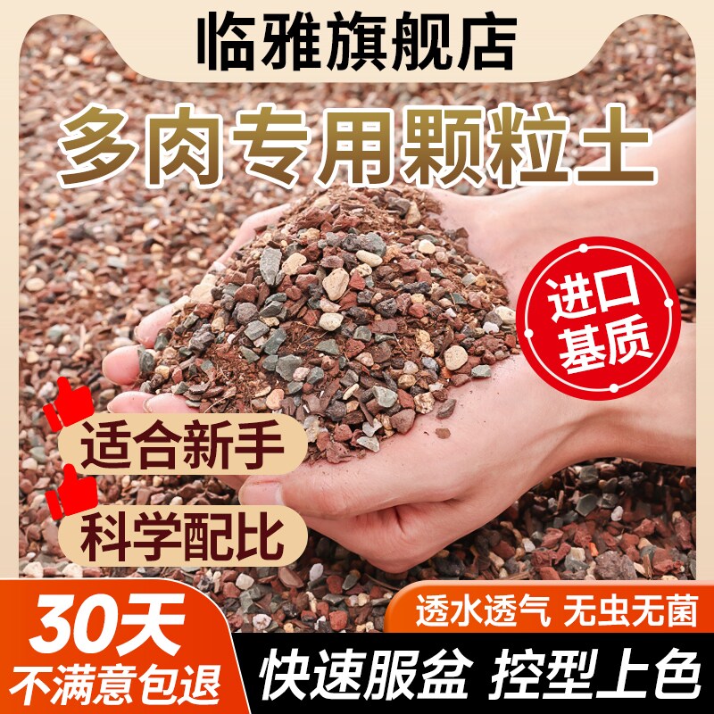 新品多肉土纯颗粒土专用营养土泥炭种植仙人球植物叶插花土盖面石