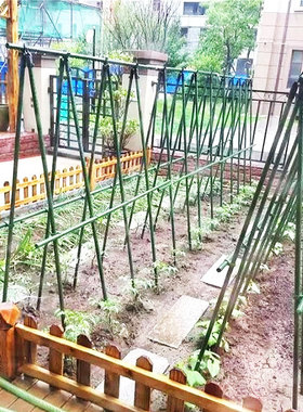 植物爬架 爬藤架 丝瓜架豆角架子黄瓜瓜架家用户外阳台花月季绿萝