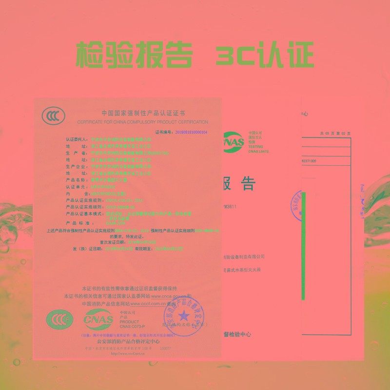 车载家用水基灭火器 水雾泡沫车用灭火器3C消防认证高效阻燃包邮