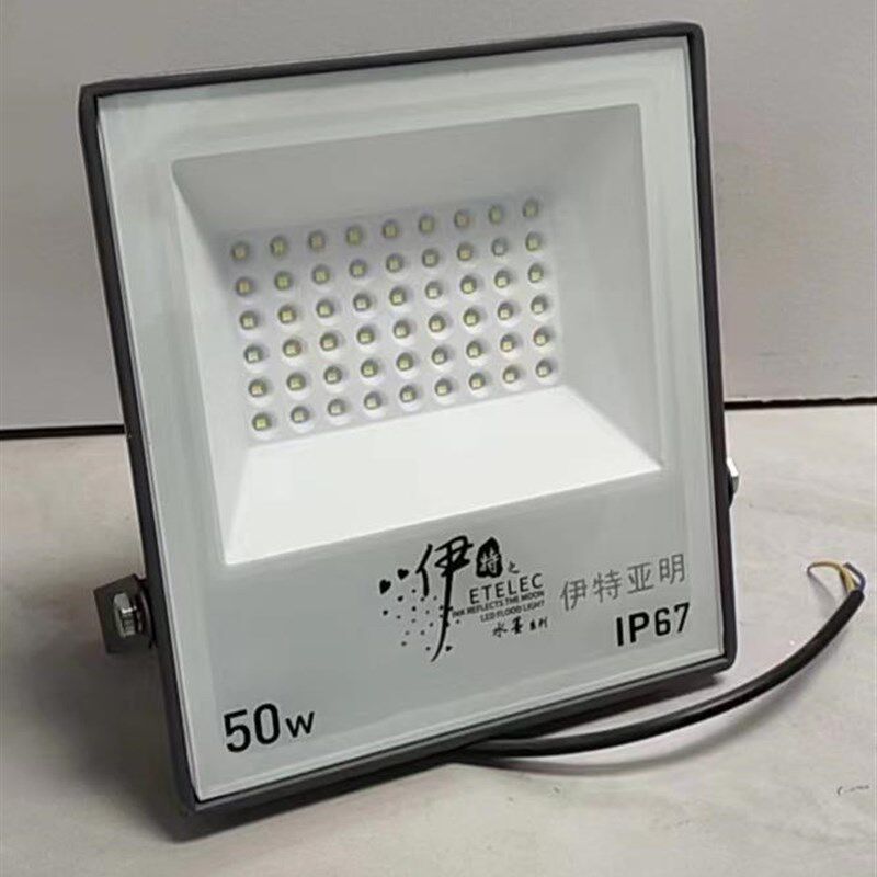 户外雀圣伊特水墨江南led投光灯家用50w100w200w防水工地足功率