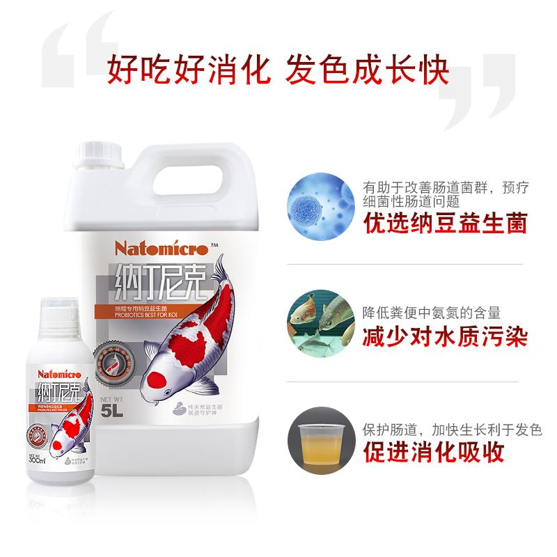 纳丁尼克锦鲤鱼专用纳豆益生菌预防细菌性厌食预防肠炎助消化增色