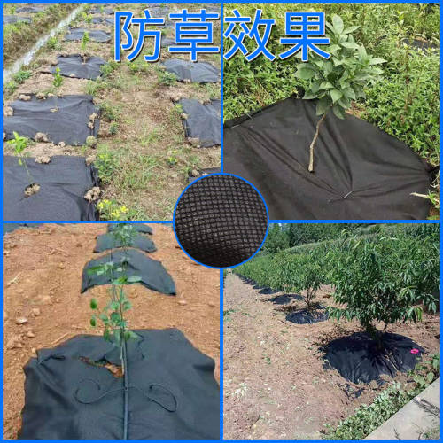 黑防草布农用园艺果树除草布地膜透气透水保温保湿保肥耐用盖草布