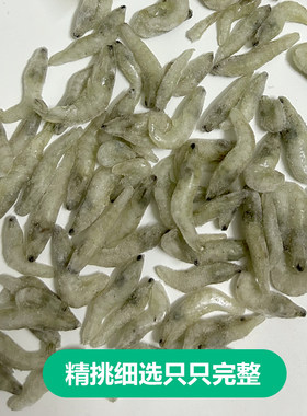 冷冻小河虾鱼食淡水新鲜活冰冻虾段龙鱼饲料虾仁喂鱼麦穗鱼泥鳅段