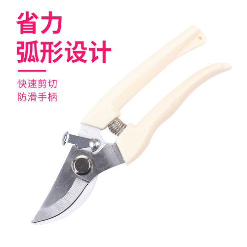 不锈钢树枝修枝剪采摘水果花木剪园林果树花卉枝嫁接园艺剪刀工具