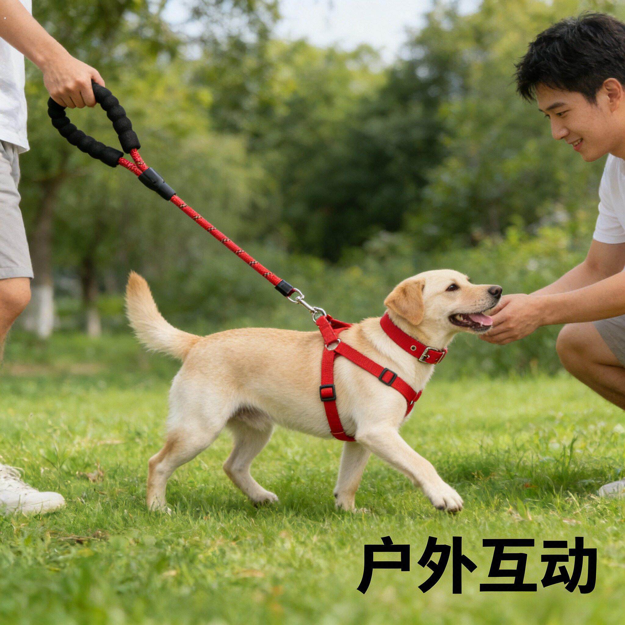 加厚耐磨狗狗脖圈可调节卡扣幼犬土狗专用宠物项圈护颈防咬遛狗套