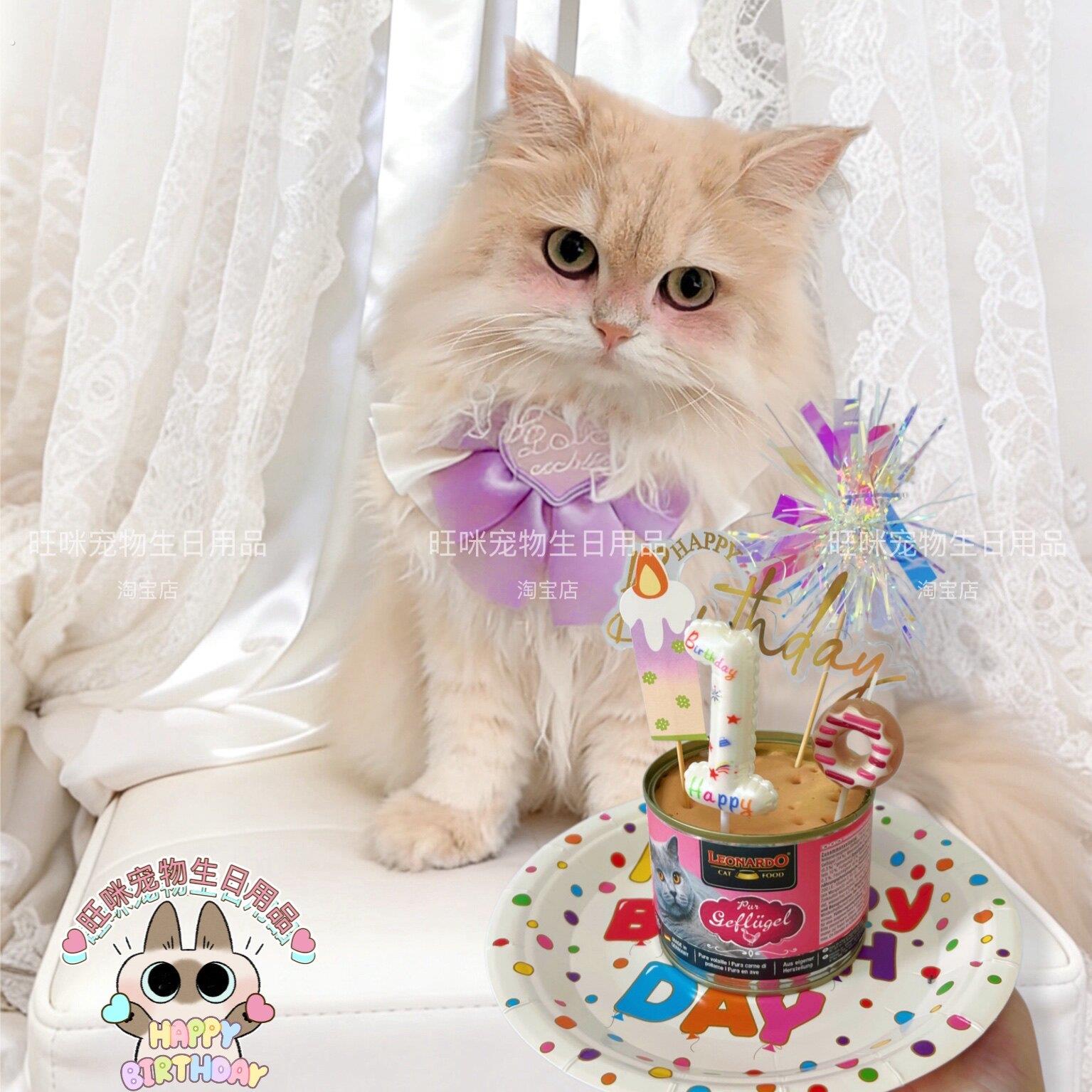 宠物狗狗猫咪过生日装扮布置珠光缎面蝴蝶结围脖蜡烛插件装饰套装