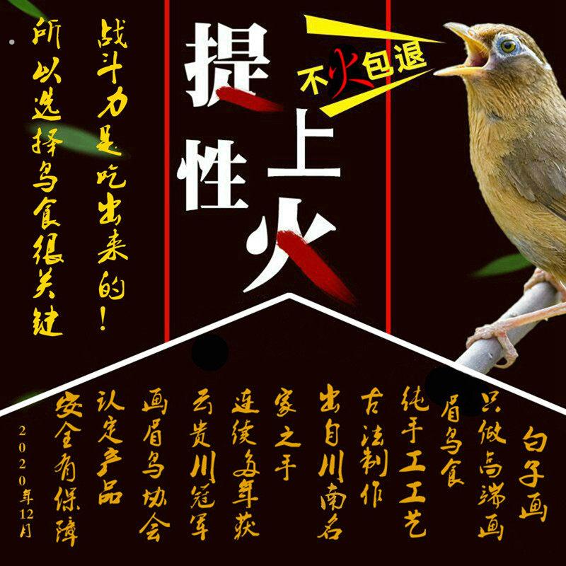 白子画纯手工画眉打斗鸟食雀王比赛打彩专用昆虫饲料提性壮膘收身