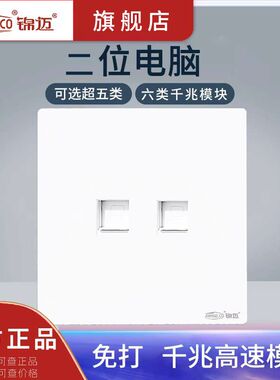 高速双电脑网络面板带超五六类千兆模块网线插座盒两孔网口接线白