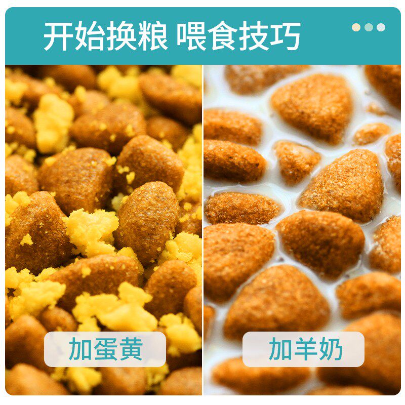 耀目 边牧狗粮幼犬成犬专用边境牧羊犬大型犬粮补钙健骨亮毛20斤
