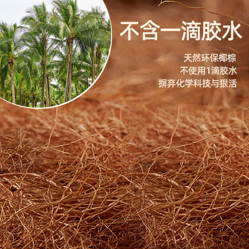 折叠床垫椰棕硬垫棕榈天然椰棕乳胶家用护脊椎棕垫定制任意尺寸