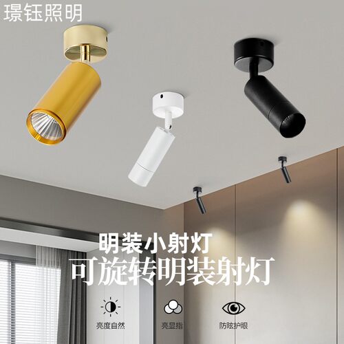 明装小射灯LED吸顶射灯天花灯嵌入式迷你射灯小型家用筒灯无主灯