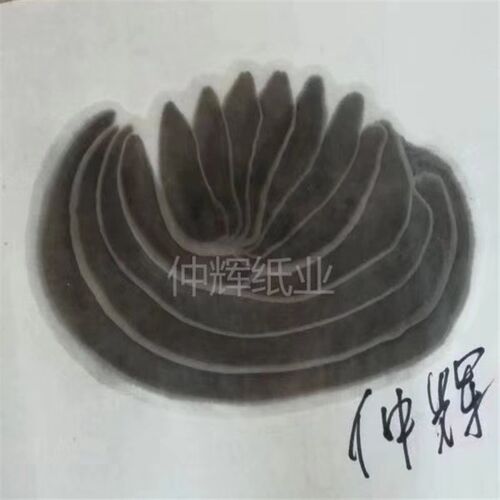 仲辉檀皮宣加厚半手工特净艺考书法山水花鸟鱼虾墨痕四尺六尺生宣