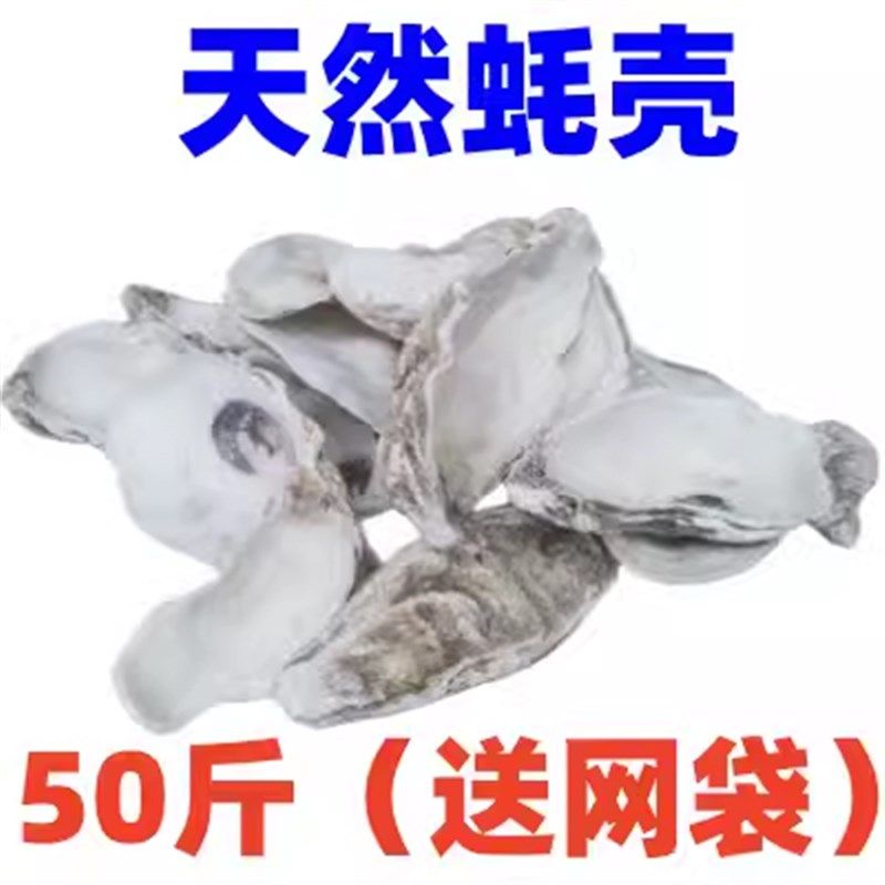 蚝壳鱼池过滤材料天然高温煅烧牡蛎壳锦鲤池滤材生稳定PH值烧过
