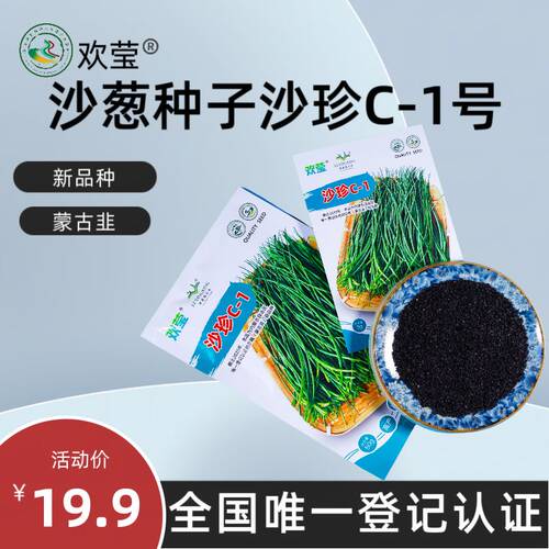 欢莹农科沙葱种子C-1号沙葱（蒙古韭）种子多年生植物认证过的