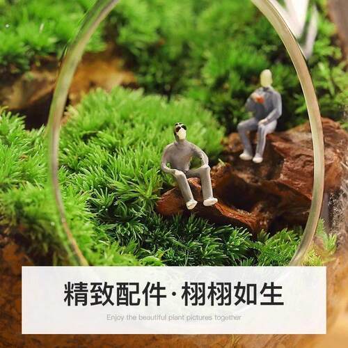 苔藓微景观盆栽生态瓶奇趣创意种好植物小盆景办公室桌面好养绿植