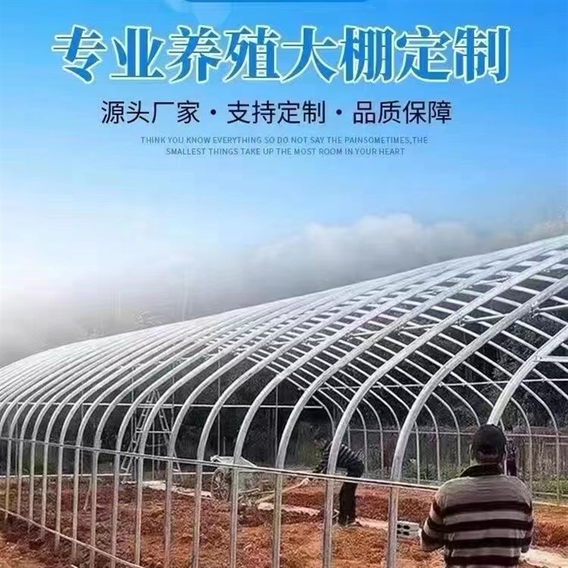 温室大棚骨架钢管养殖种植全套猪鸡舍钢架家用连栋配件简易蔬菜棚